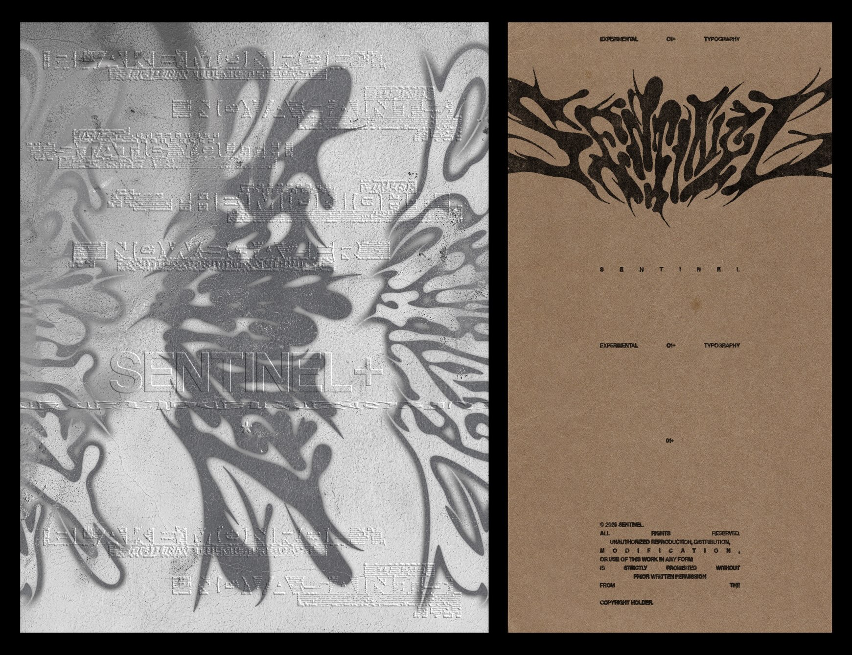 "[Sentinel — Experimental Typography] A typographic exploration focused on push…