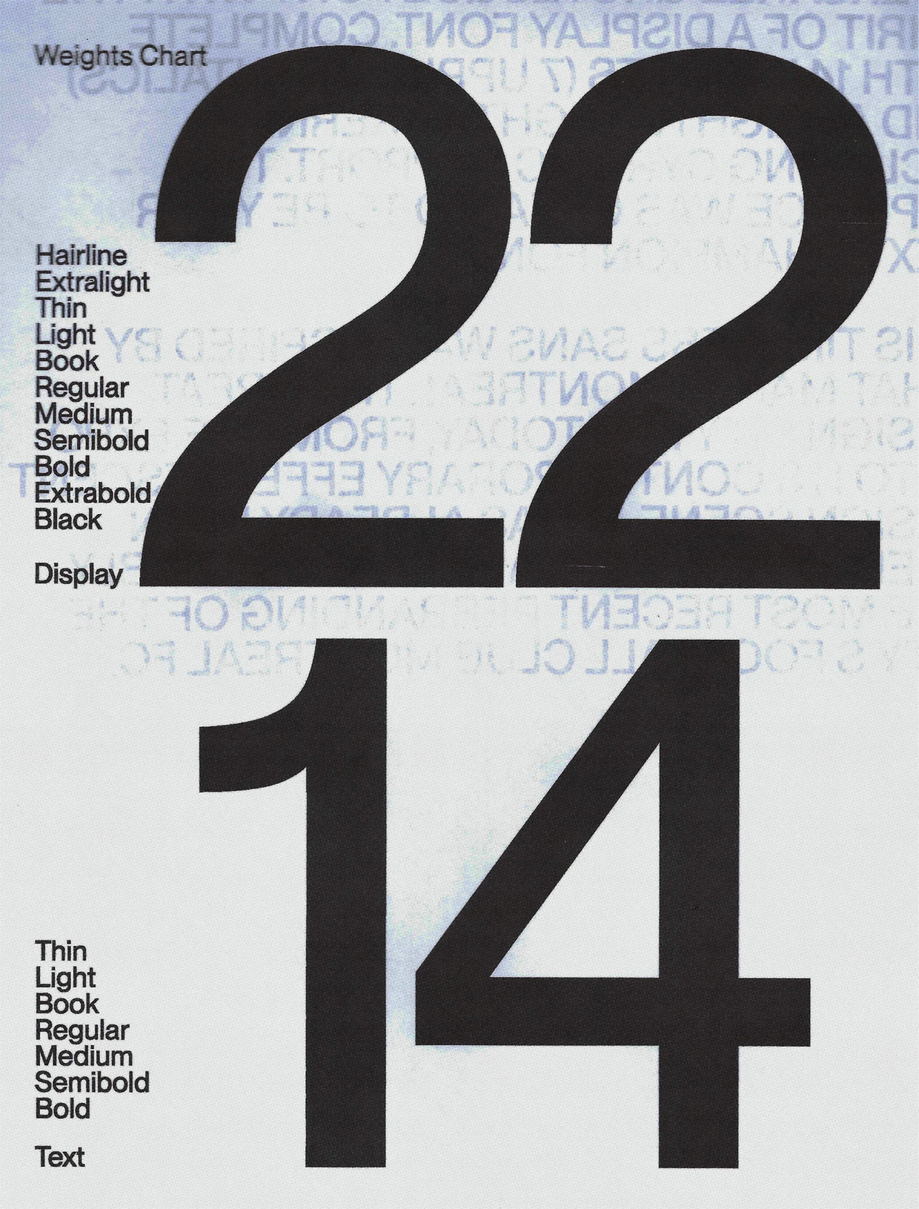 PP Neue Montreal — image 7