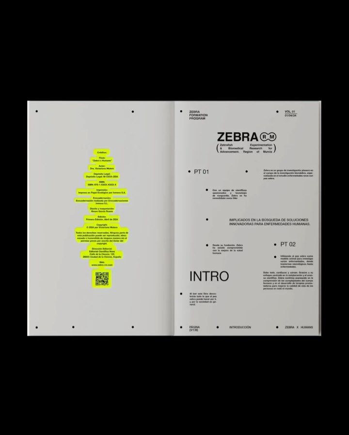 Zebra