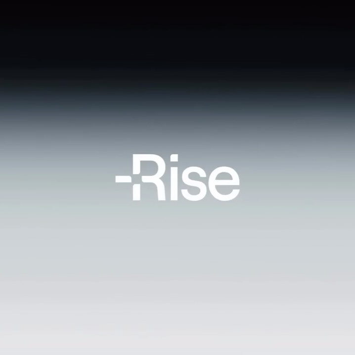 Rise 3D Assets
