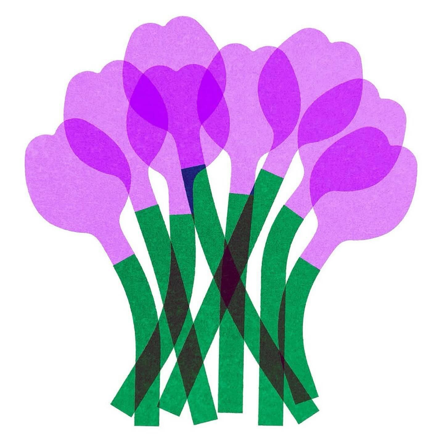 Illustrations