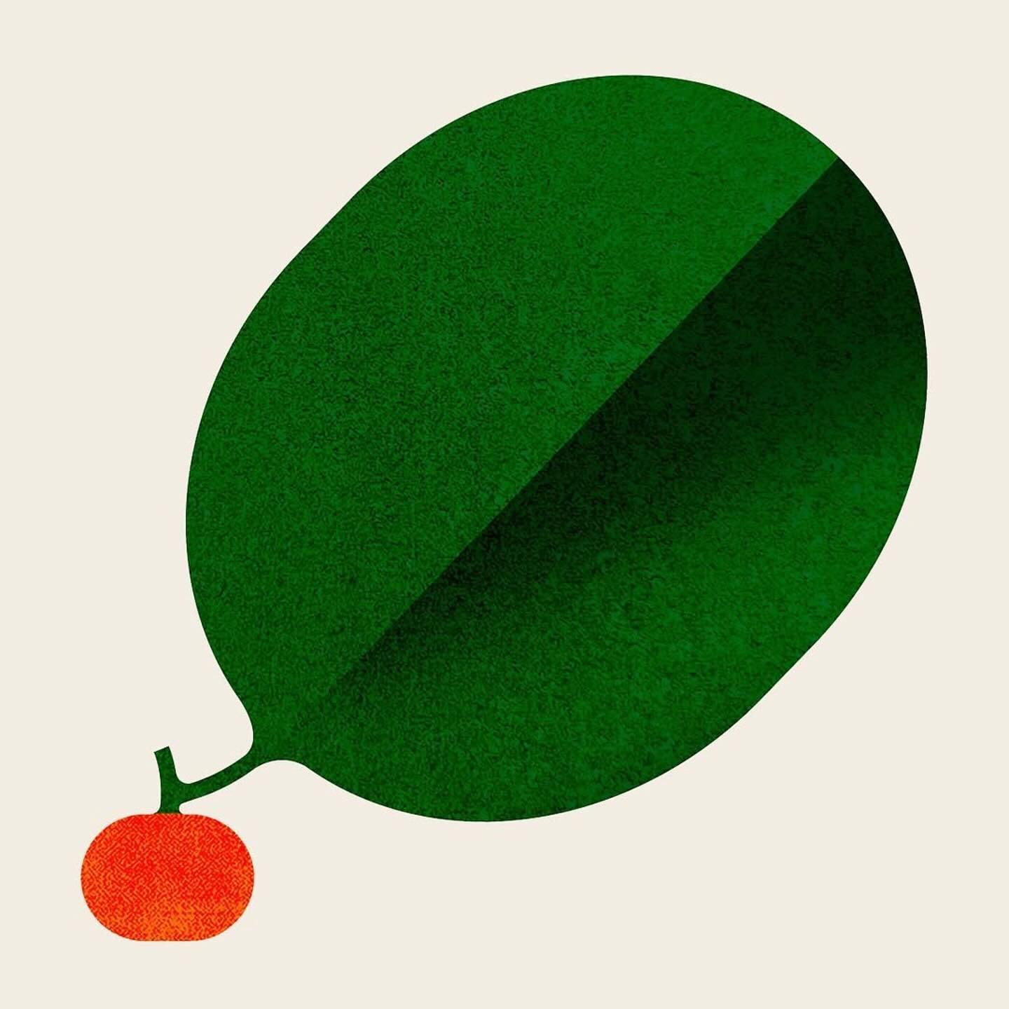 Illustrations