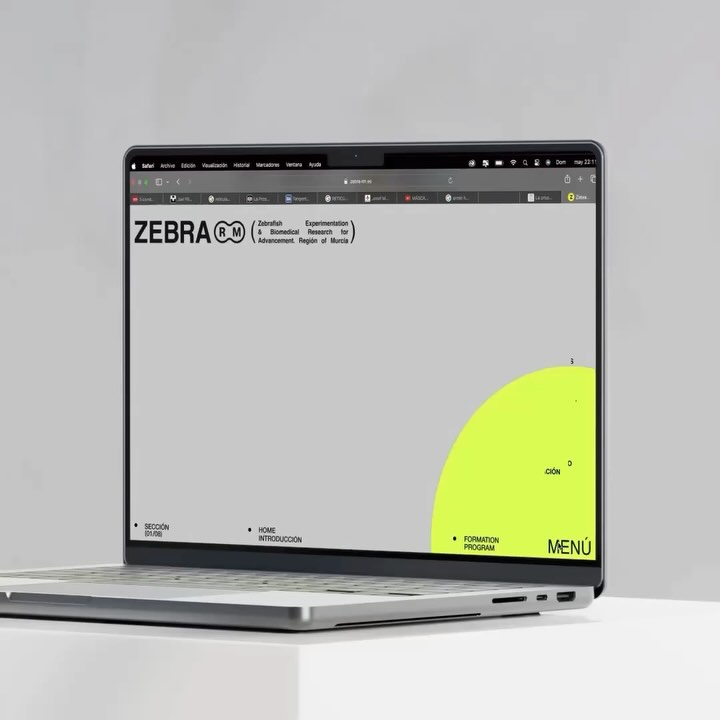 Zebra