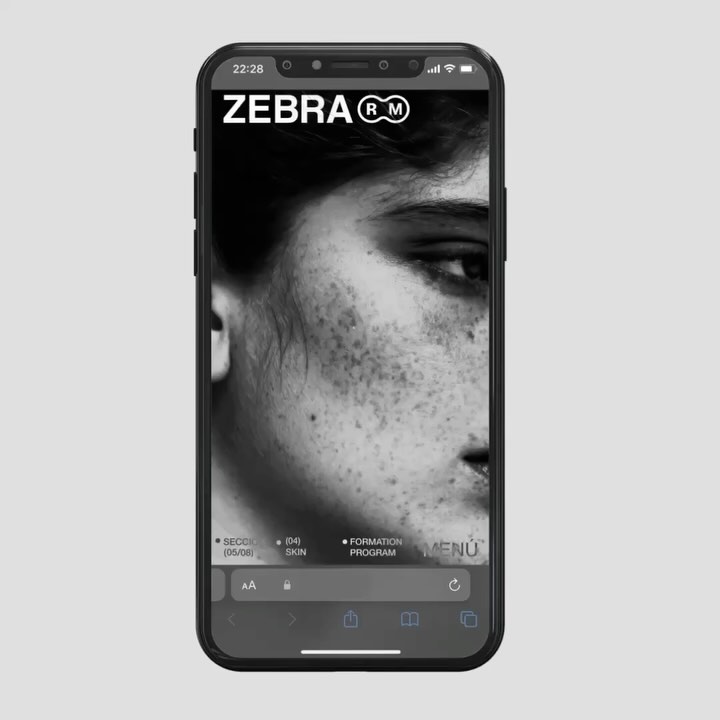 Zebra