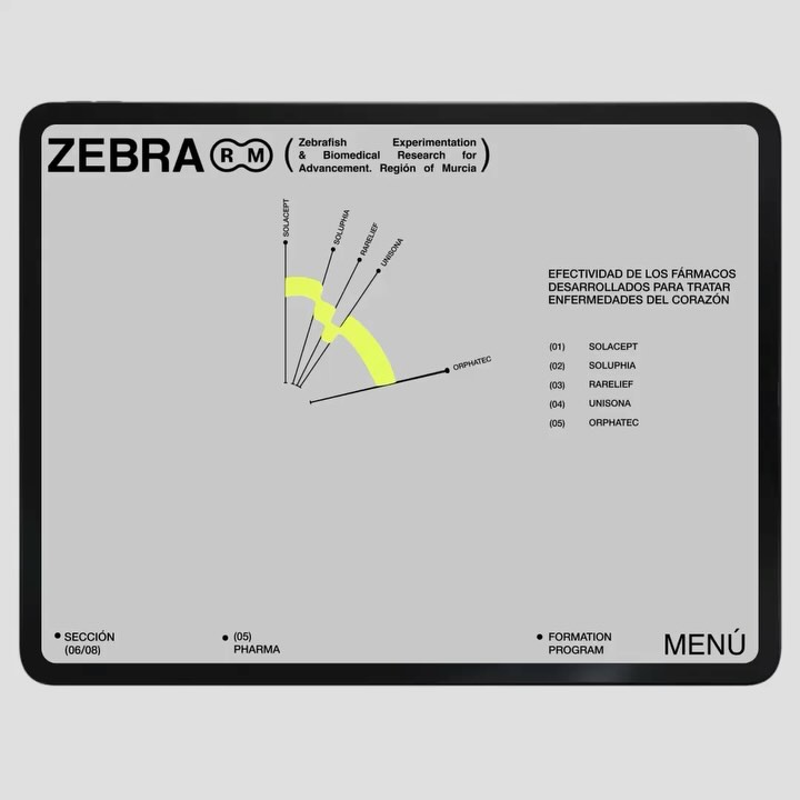 Zebra