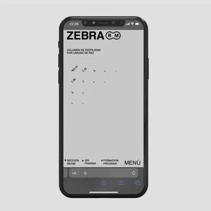 Zebra