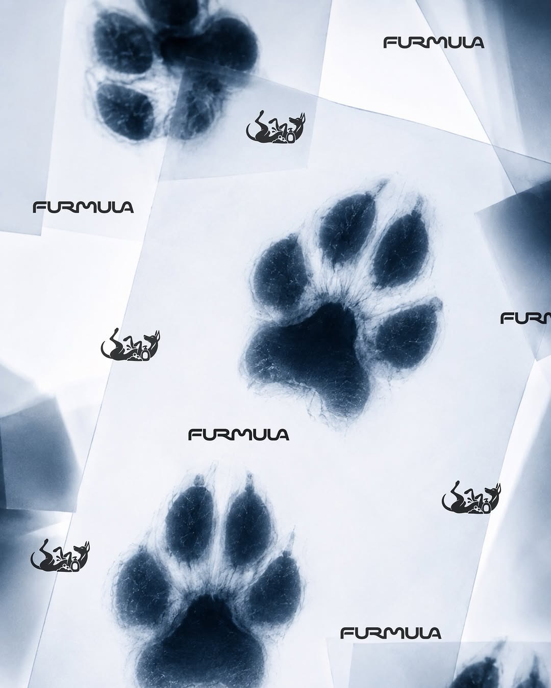FURMULA