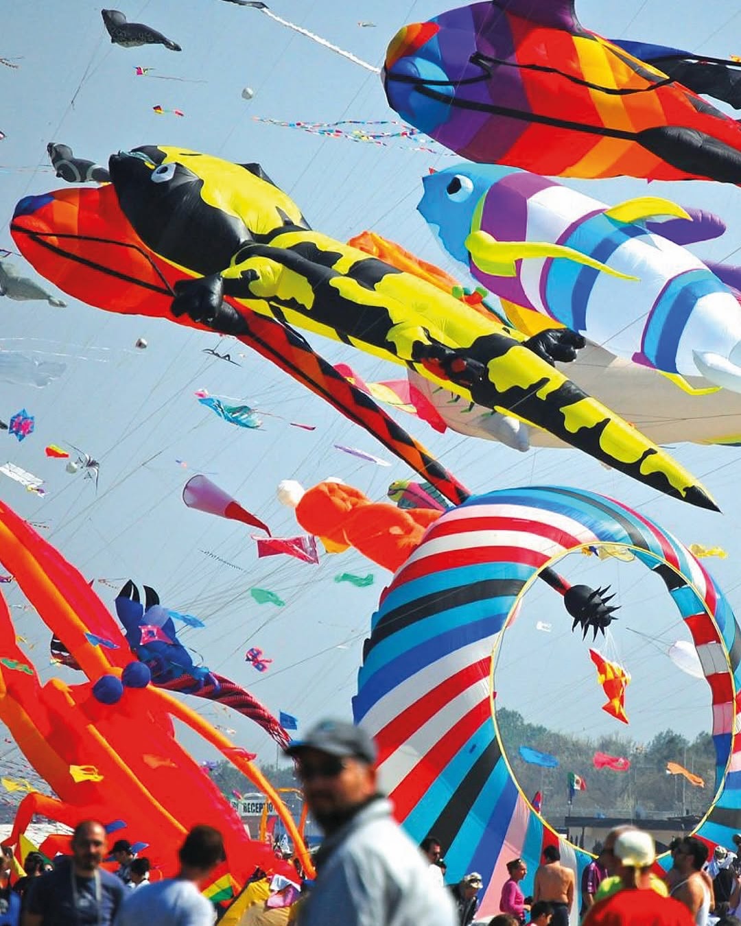 Artevento Kite Festival