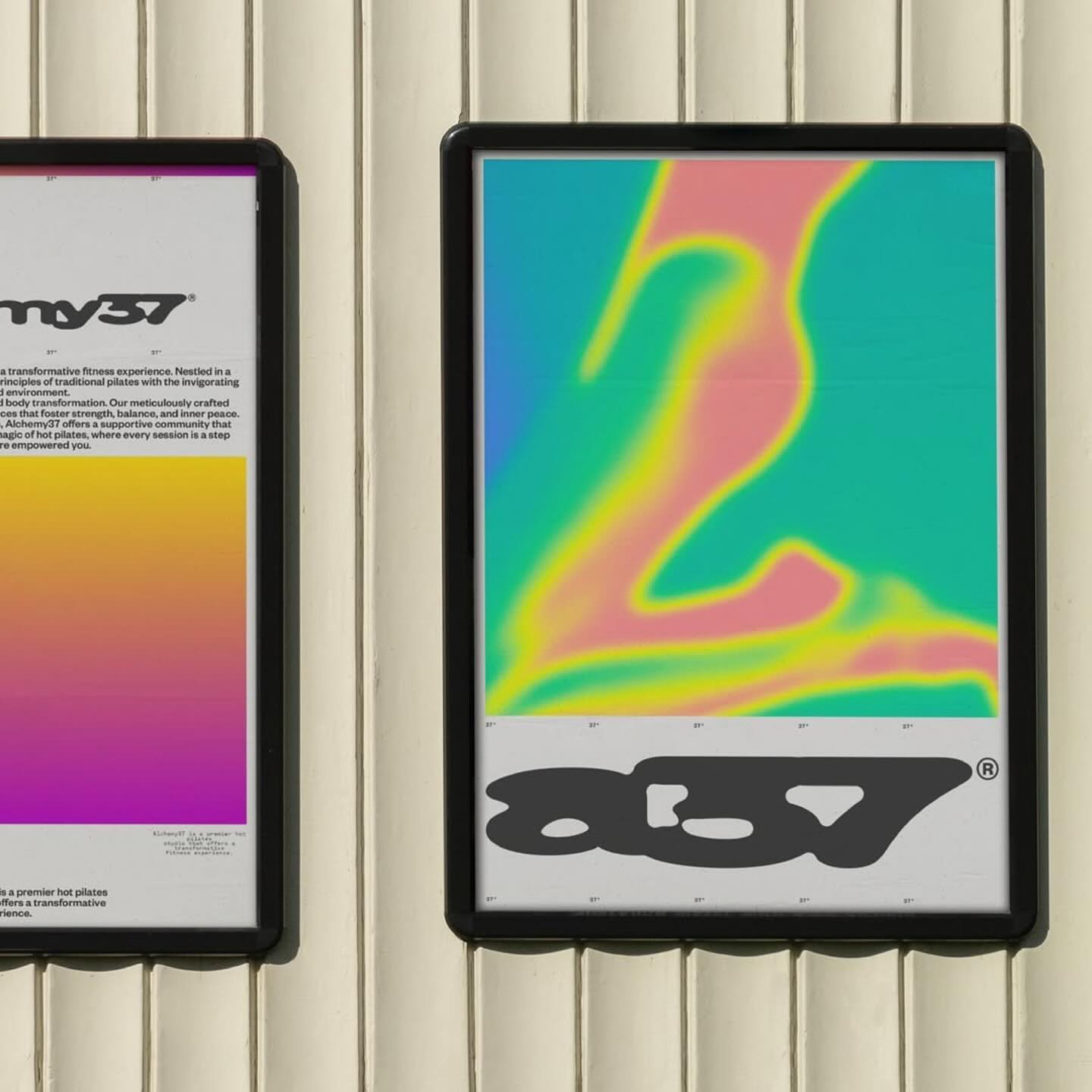 Alchemy 37