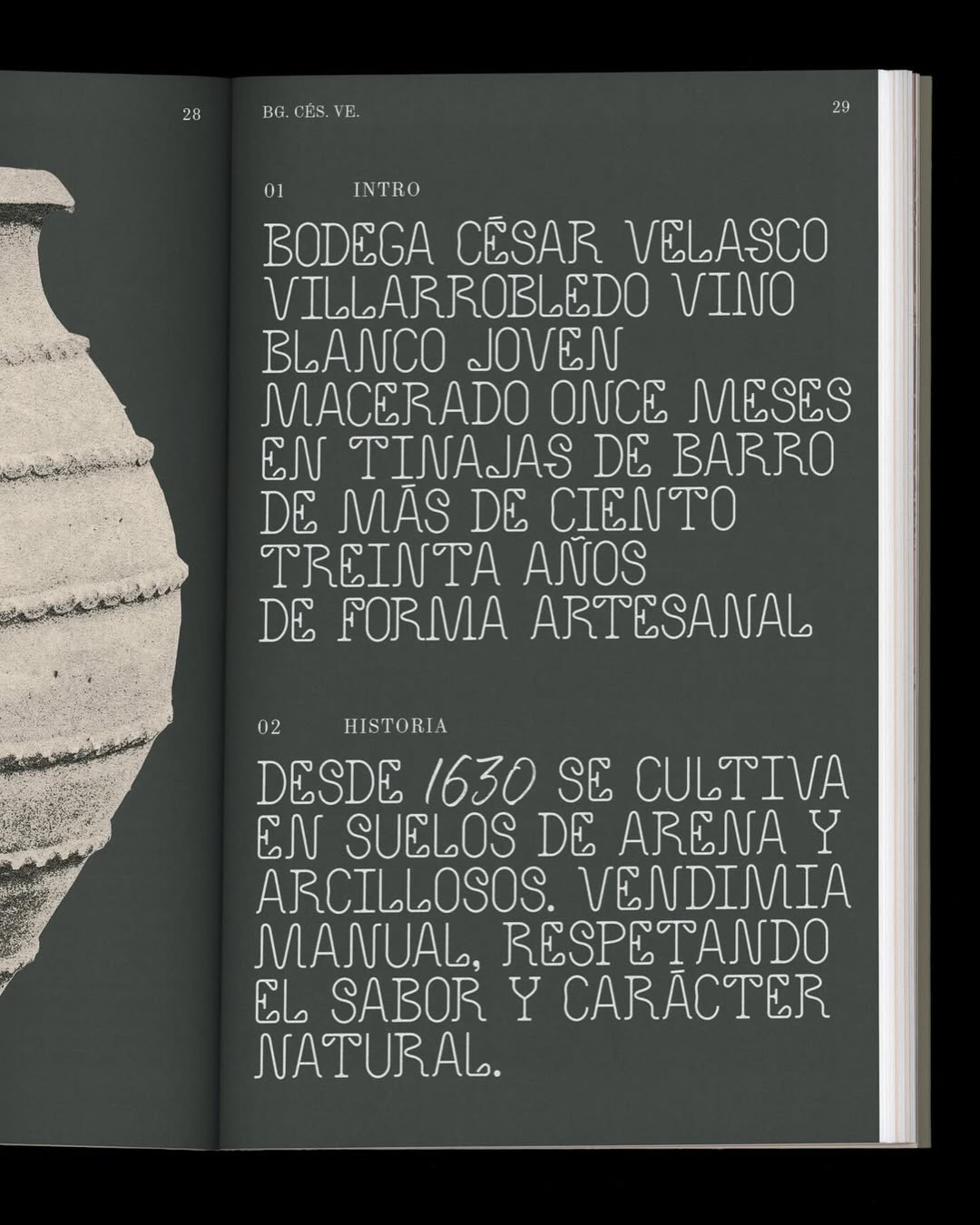 Type for Bodega César Velasco