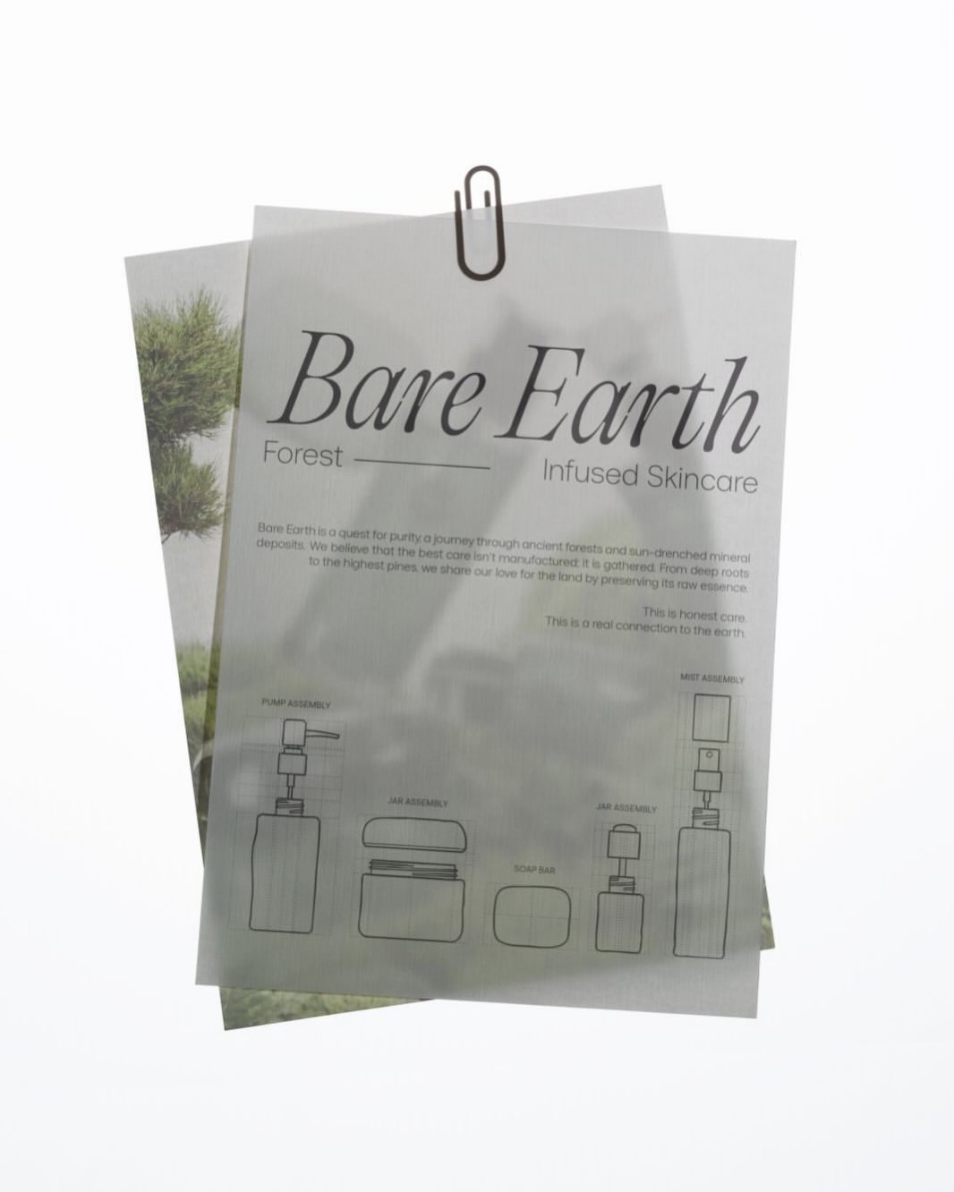Bare Earth