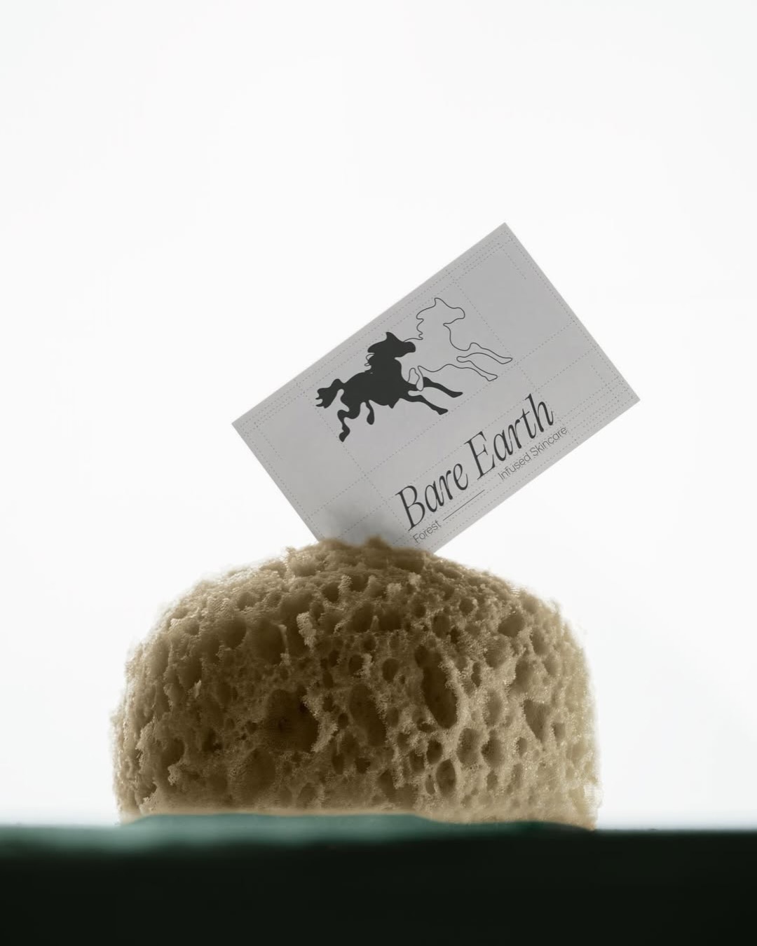 Bare Earth