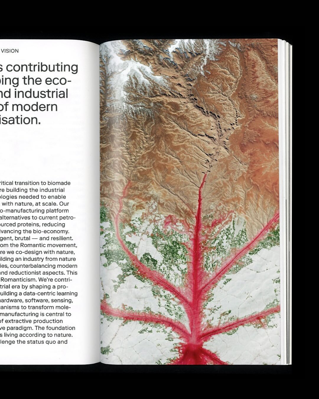 Arsenale Bioyards