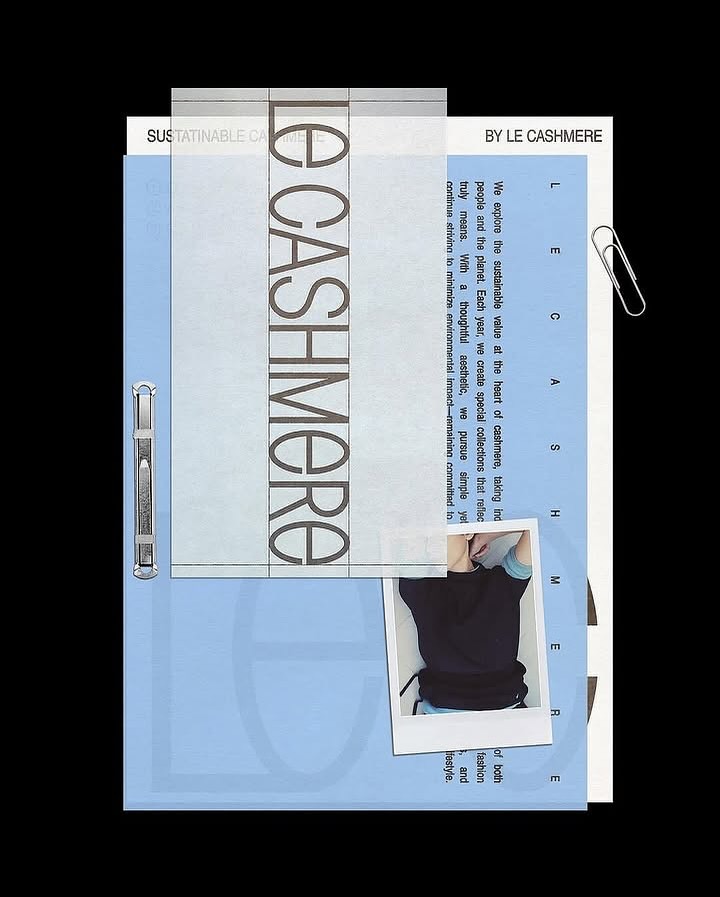 Le Cashmere