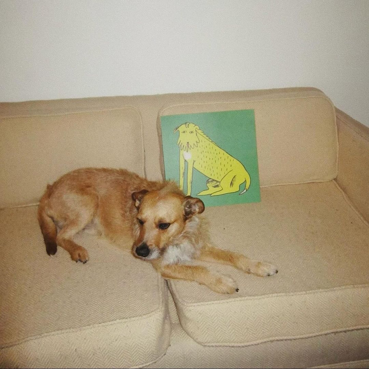 Geoffroy Album