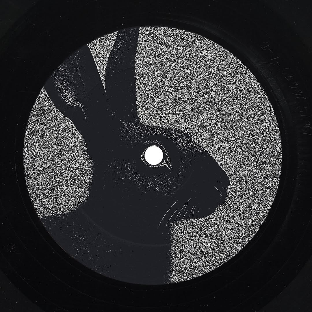 Design + Layout for RABBIT