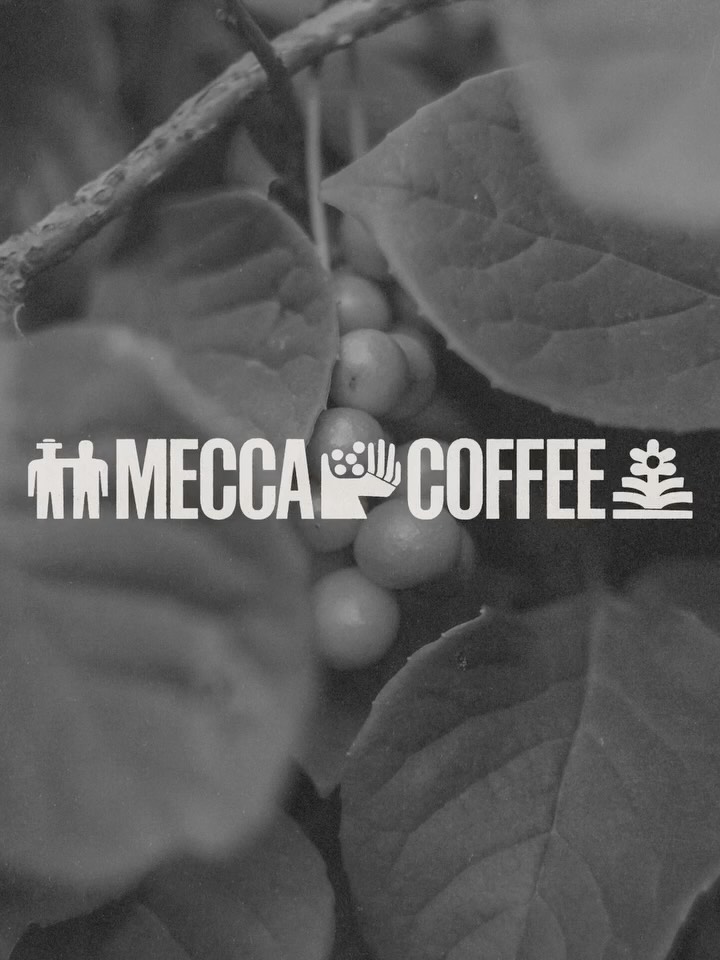Mecca Coffee